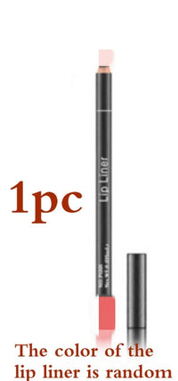 2017 hot waterproof lip gloss matte liquid lipstick matte lipstick lipkit cosmetics makeup nude purple black rose pudaier brand