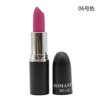 2018 New Sexy Color Beauty Red Lips Baton Matte Velvet Lip Stick Waterproof Makeup Pigment Brown Nude Matte Lipstick Pencils