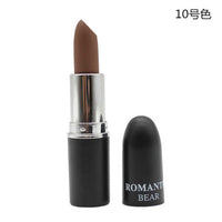 2018 New Sexy Color Beauty Red Lips Baton Matte Velvet Lip Stick Waterproof Makeup Pigment Brown Nude Matte Lipstick Pencils