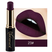 New Arrival Lip Matte Shimmer Metallic Lipstick Waterproof Lipstick Makeup High Pigmented 24 Shades Lipstick Rouge A Levre
